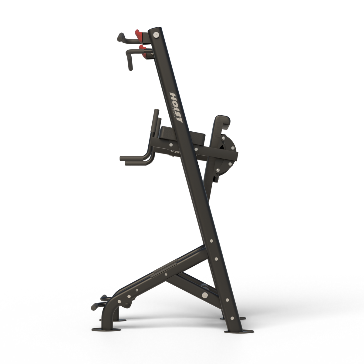 Fitness Tree