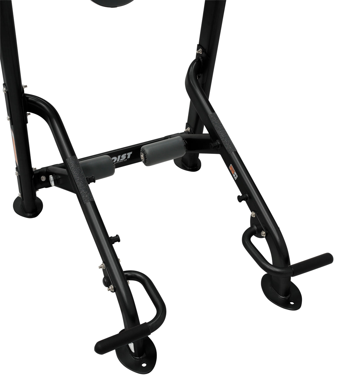 Fitness Tree