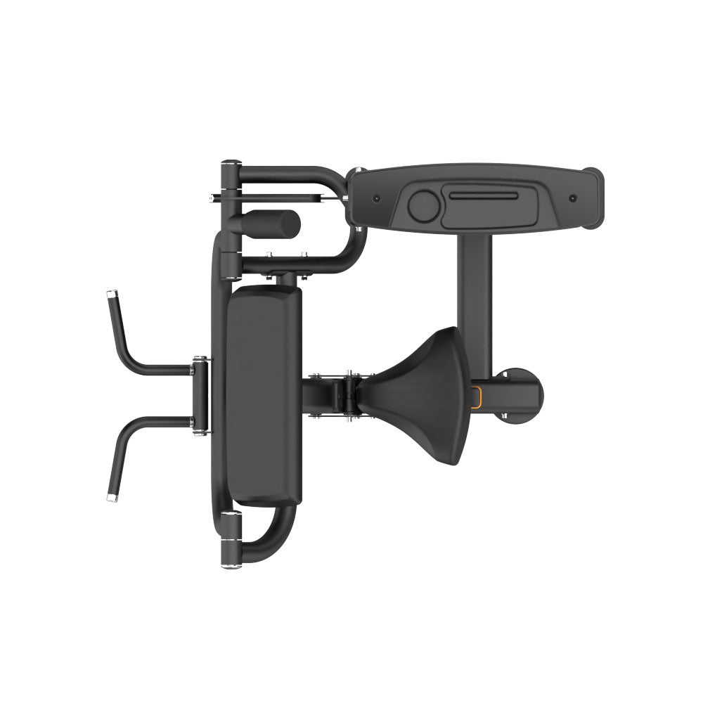 Victory V1 Biceps Curl