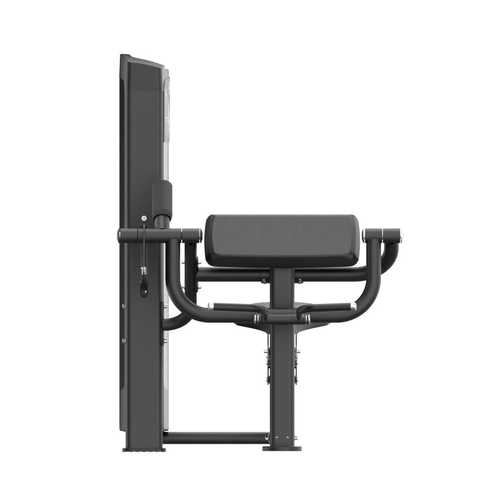 Victory V1 Biceps Curl