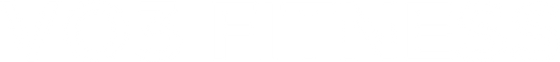 VO3
